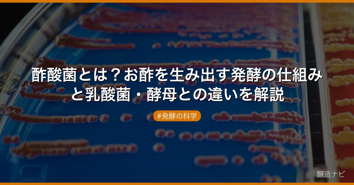 酢酸菌とは？お酢を生み出す発酵の仕組みと乳酸菌・酵母との違いを解説