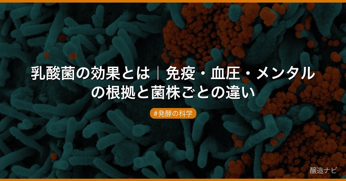 乳酸菌の効果とは｜免疫・血圧・メンタルの根拠と菌株ごとの違い