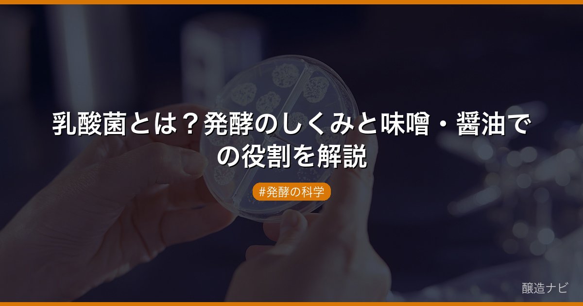 乳酸菌とは？発酵のしくみと味噌・醤油での役割を解説