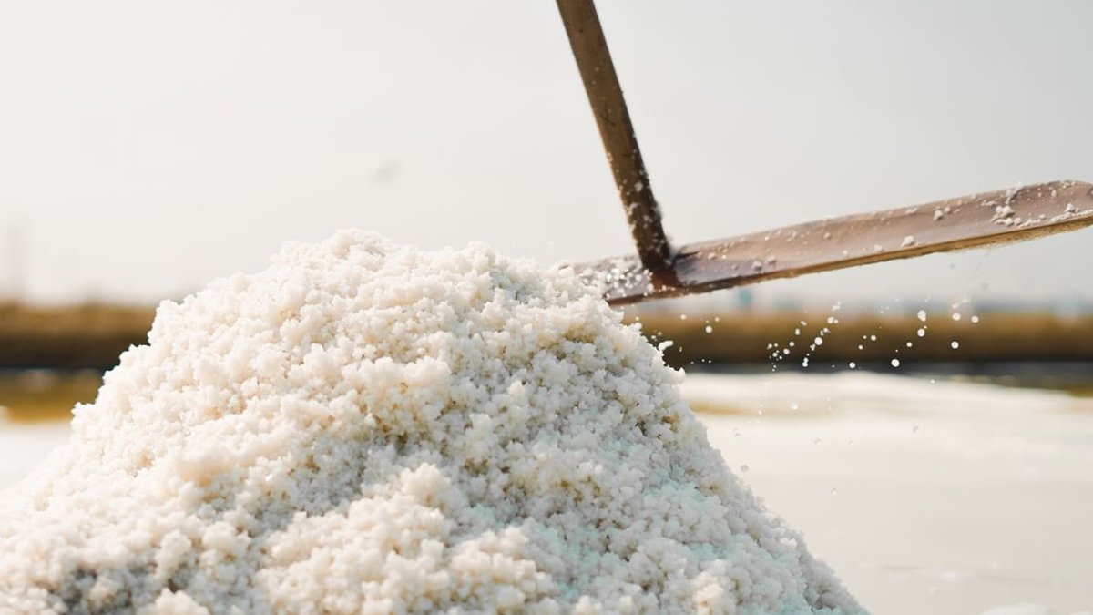 2026 10 20 shiokoji shio erabikata h2 02